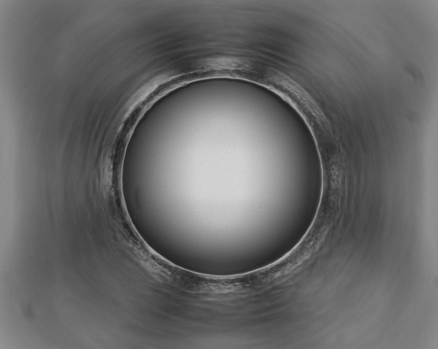 X0000112791023200908281502