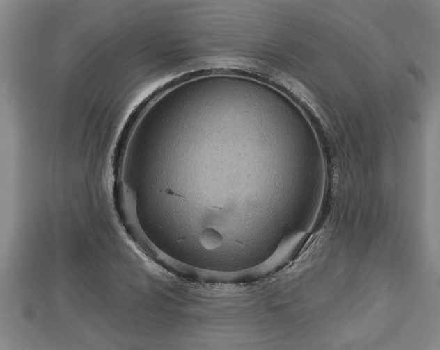 X0000112791024200908281502