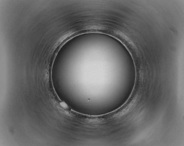 X0000112791025200908281502