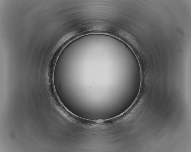 X0000112791026200908281502