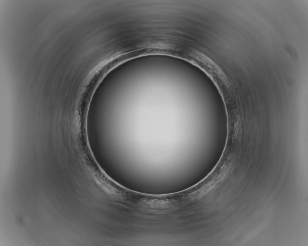 X0000112791027200908281502