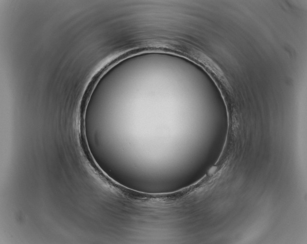 X0000112791028200908281502