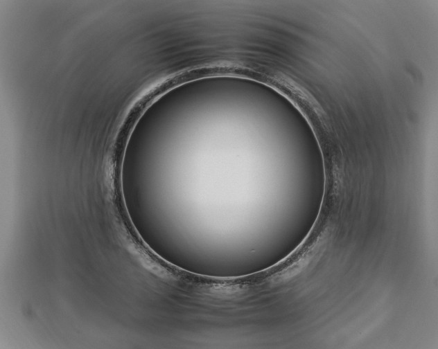 X0000112791029200908281502