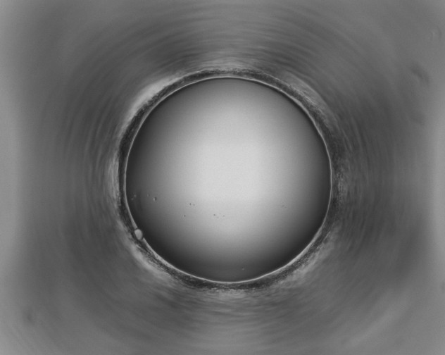 X0000112791030200908281502