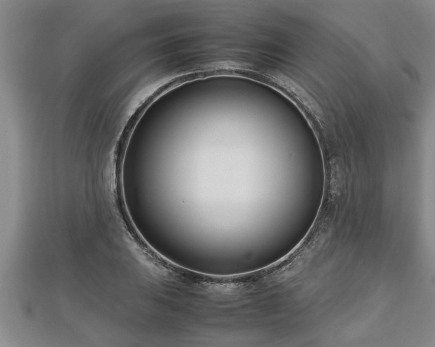 X0000112791031200908281502