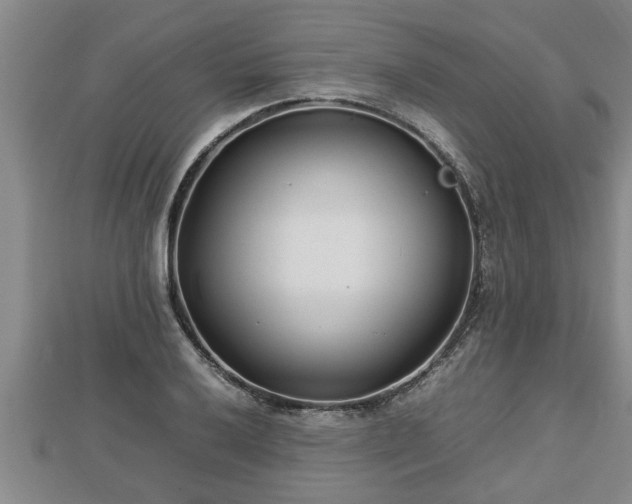 X0000112791032200908281502