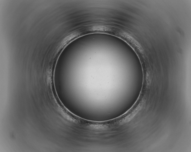 X0000112791033200908281502