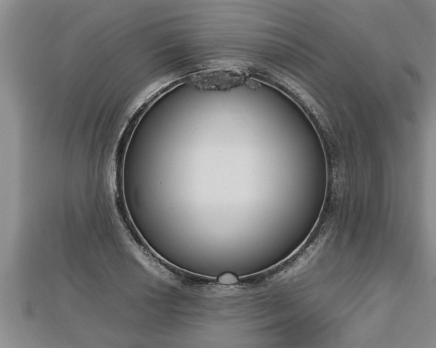 X0000112791034200908281502