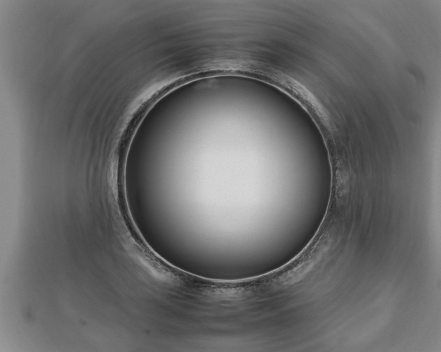 X0000112791035200908281502