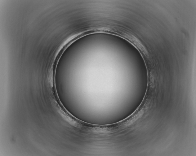 X0000112791036200908281502