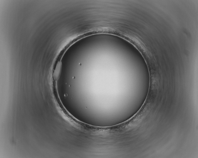 X0000112791038200908281502