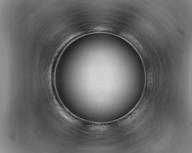 X0000112791039200908281502