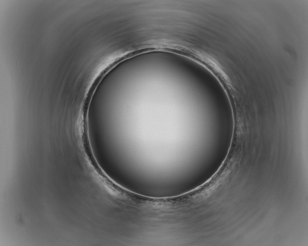 X0000112791040200908281502