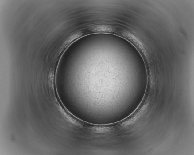 X0000112791041200908281503