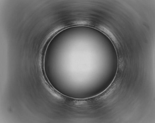 X0000112791043200908281503