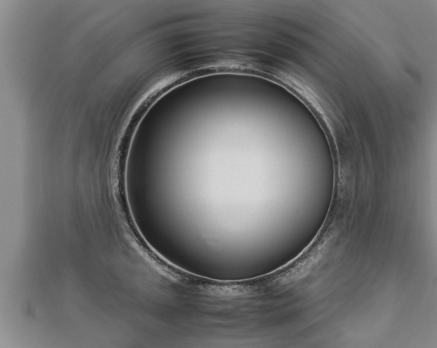 X0000112791045200908281503