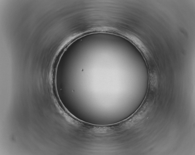 X0000112791046200908281503