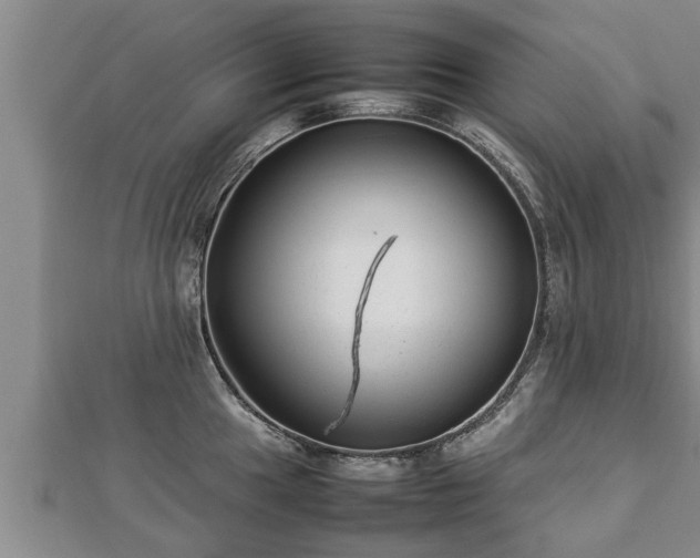 X0000112791049200908281503