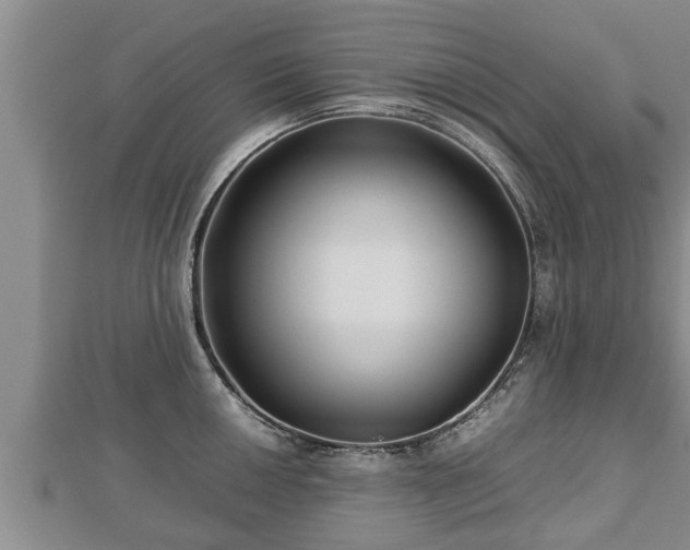 X0000112791050200908281503