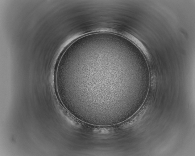 X0000112791051200908281503