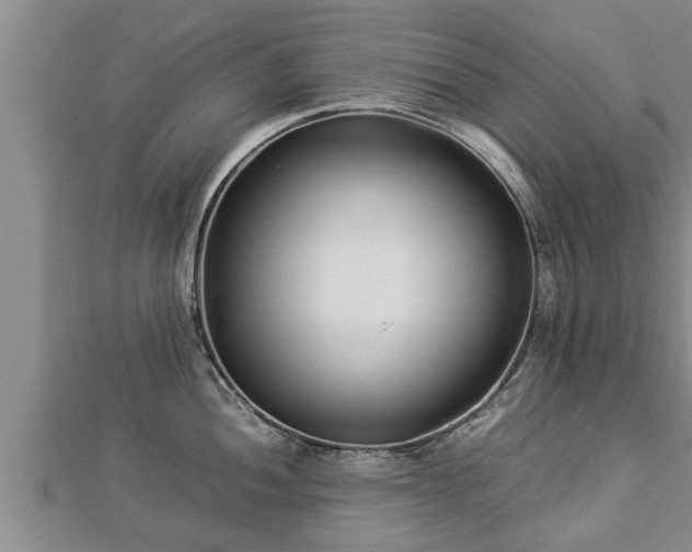 X0000112791052200908281503