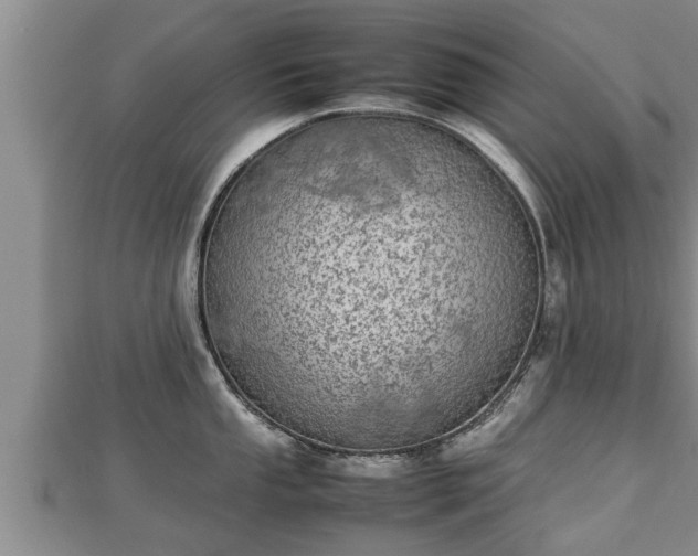 X0000112791053200908281503