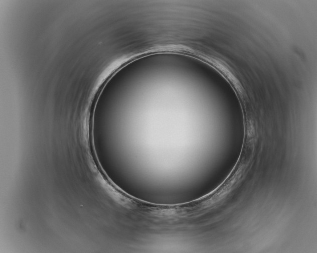 X0000112791054200908281503