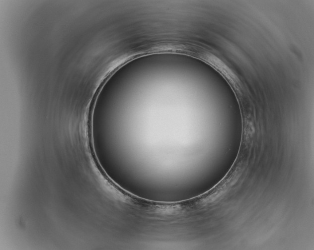 X0000112791055200908281503