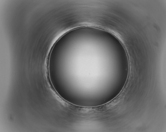 X0000112791056200908281503