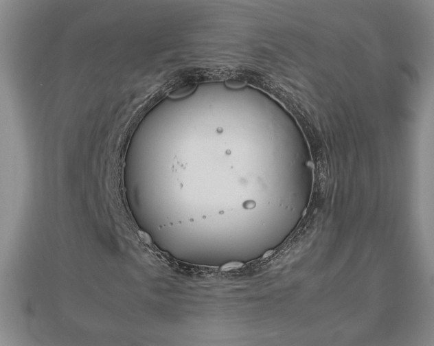 X0000112791057200908281502