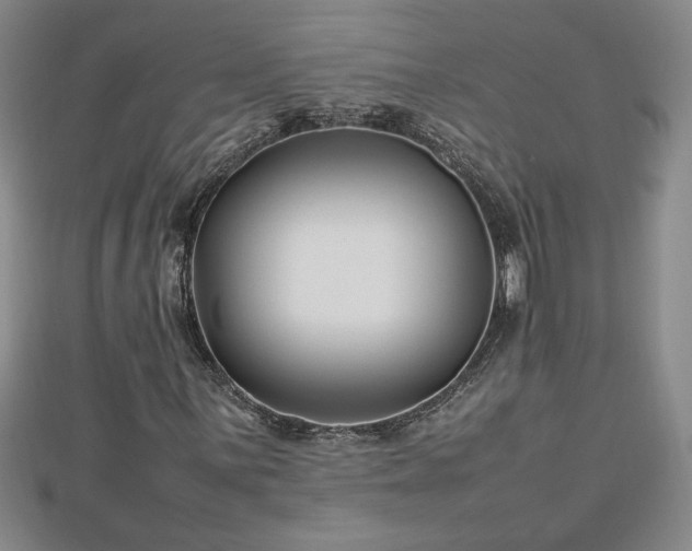 X0000112791059200908281502