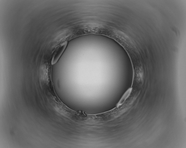 X0000112791060200908281502