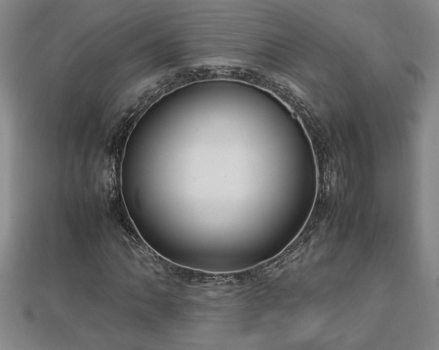 X0000112791062200908281502