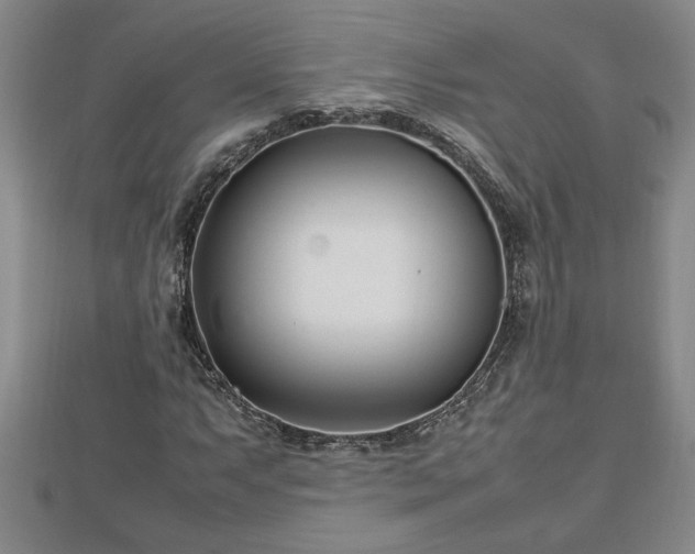 X0000112791063200908281502