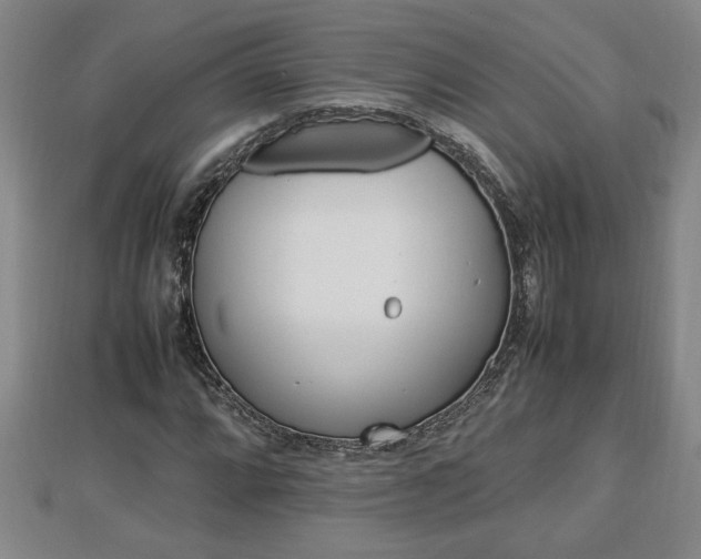 X0000112791064200908281502