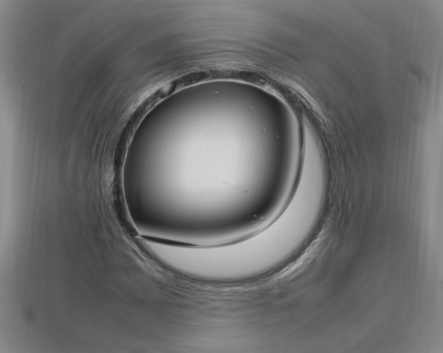 X0000112791065200908281502