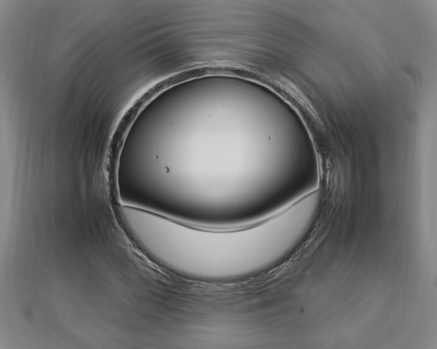 X0000112791068200908281502