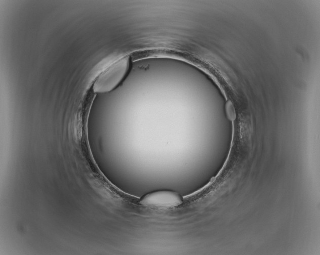 X0000112791069200908281502