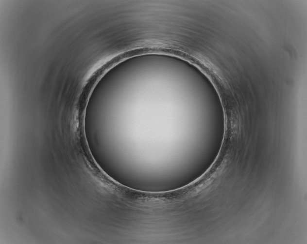 X0000112791070200908281502