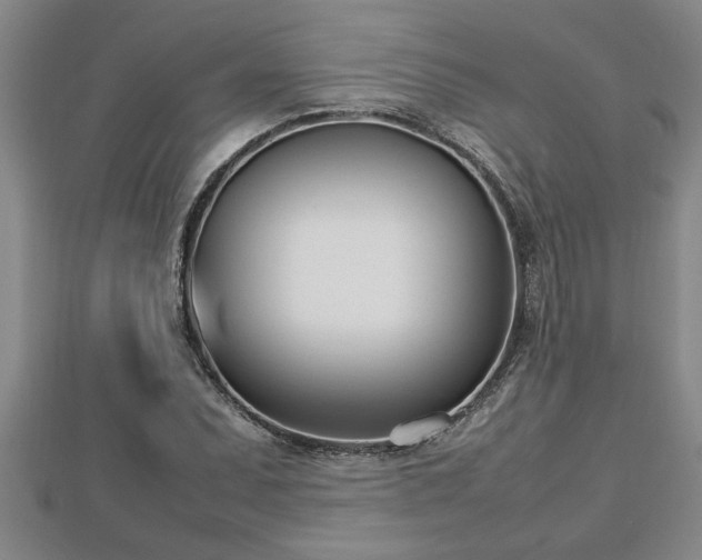 X0000112791071200908281502