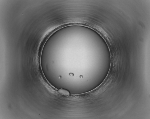 X0000112791072200908281502