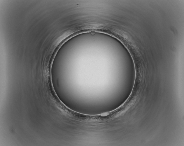 X0000112791073200908281502