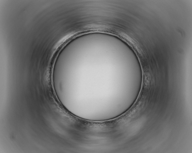 X0000112791074200908281502