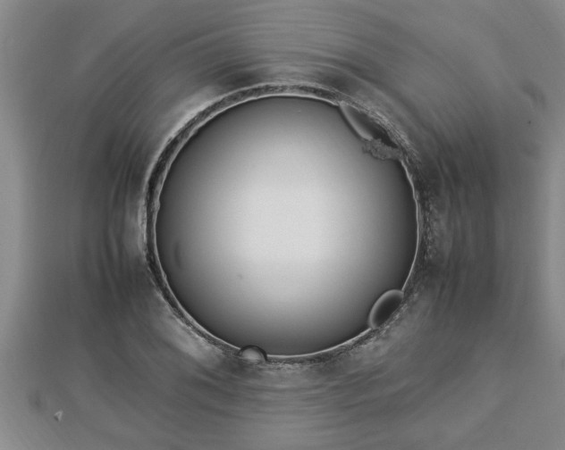 X0000112791076200908281502