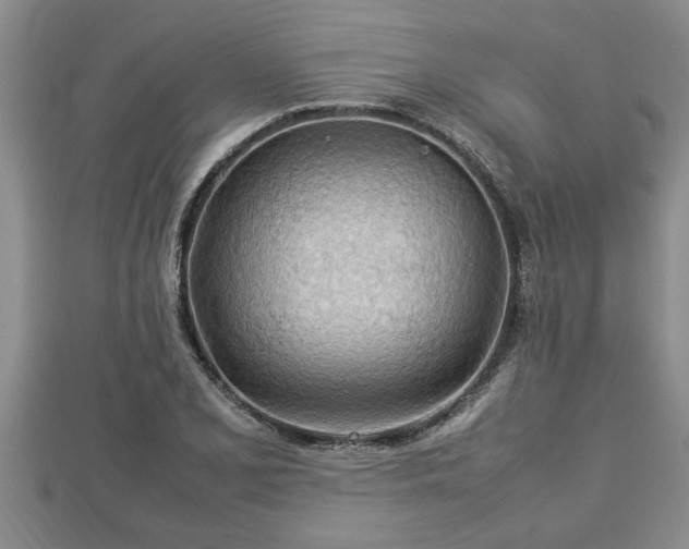 X0000112791077200908281502