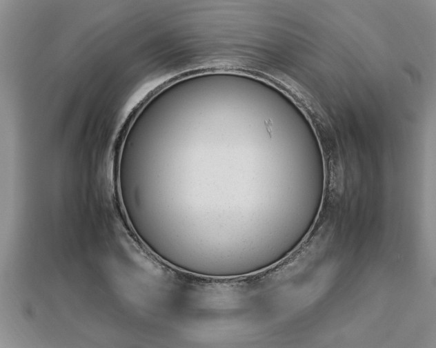 X0000112791078200908281502