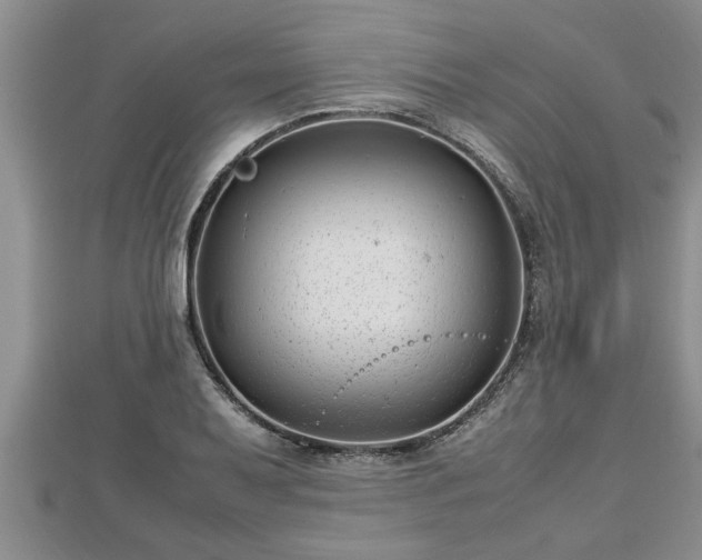 X0000112791079200908281502