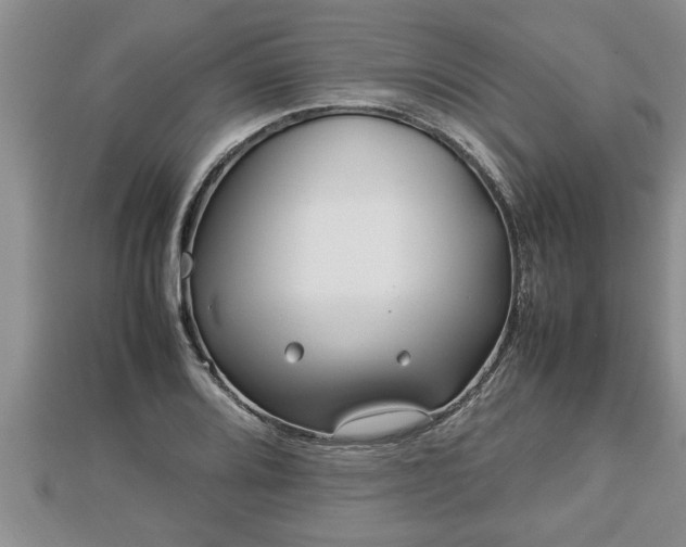 X0000112791080200908281502