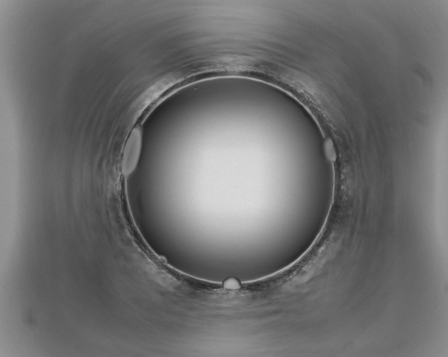 X0000112791081200908281502