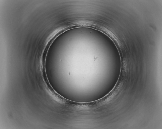 X0000112791082200908281502